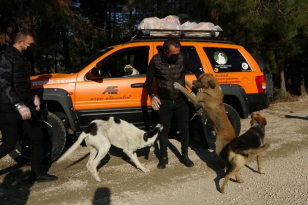 Bursa Uludağ’daki sokak hayvanları “aç kalmasın” diye 300 kilo et pişirip dağıttılar