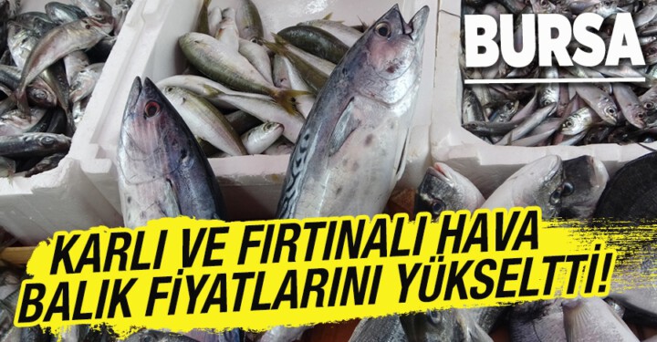 Karlı ve fırtınalı hava, Bursa’da balık fiyatlarını yükseltti
