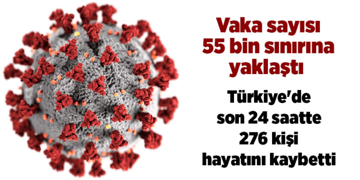 Türkiye’de son 24 saatte 276 kişi hayatını kaybetti.