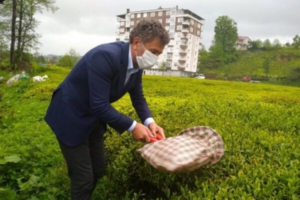 CHP Bursa Milletvekili Sarıbal: “Mevcut Çay Kanunu yetersiz”