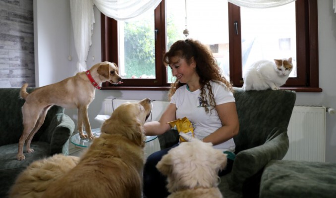 Bursa’da villasında 33 kedi ve 4 köpeğe bakıyor