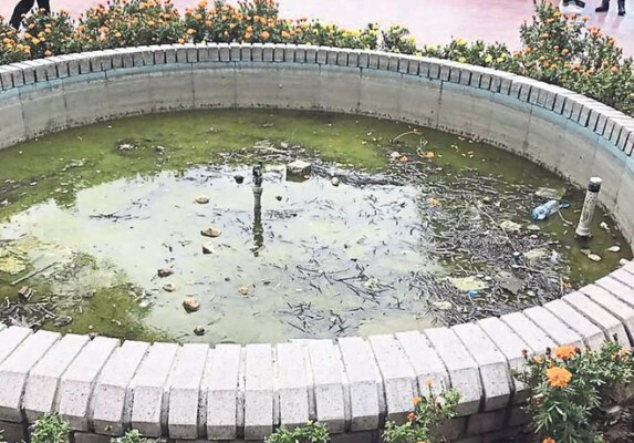 Bursa’da Görülmeyen Tehlike! Süs Havuzları…
