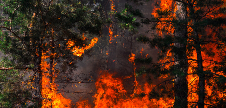 Orman Yangınlarında Yanlış Yöntem mi Uygulanıyor! Söndürülememesinin Asıl Nedeni; Doğru Teknik mi Kullanılmıyor!