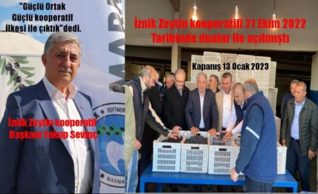 Güçlü ortak güçlü kooperatif İznik Zeytin Kooperatifinde rekor alım