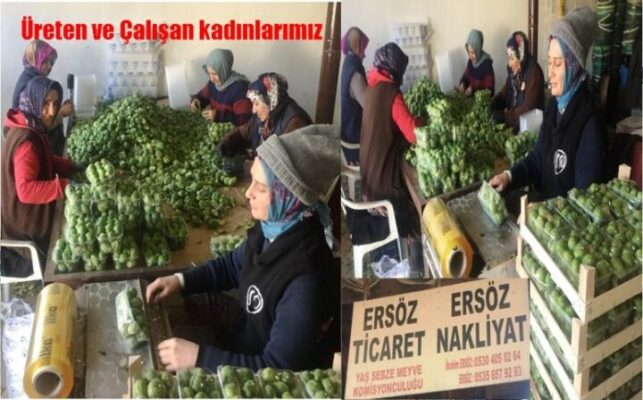 ÜRETEN VE ÇALIŞKAN KADINLAR