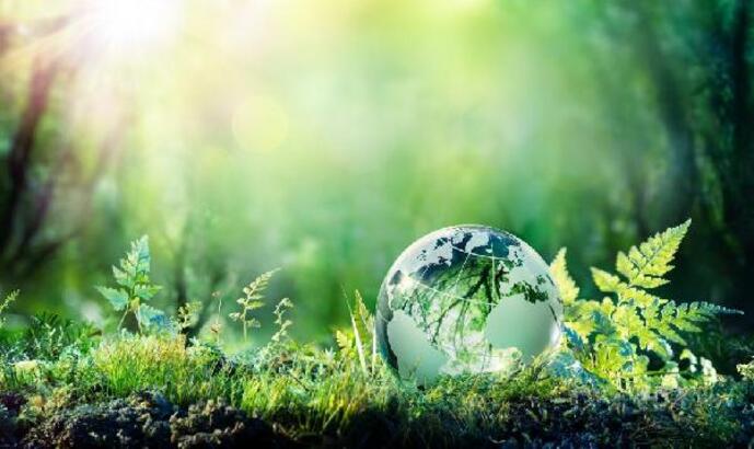 Son 20 yılda enerji talebinin en hızlı arttığı OECD Ülkesi Türkiye oldu