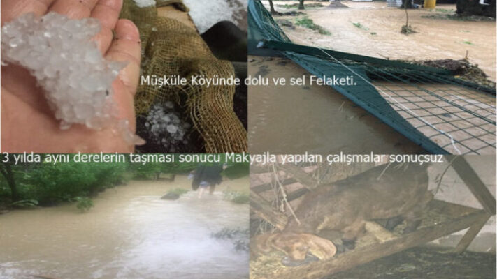 İZNİK MÜŞKÜLE YİNE SELE,DOLUYA TESLİM OLDU.