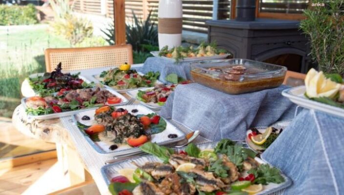 TÜRKİYE’NİN İLK FONKSİYONEL BESLENME OTELİNİN BASIN LANSMANI GERÇEKLEŞTİ
