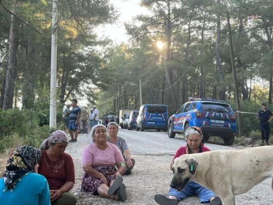 AKBELEN GEZİDİR… DOĞAYI KATLEDEN RANTÇILAR VE HALK DÜŞMANLARI ANLASINLAR… DEVLET KİMLERİ KORUYOR?