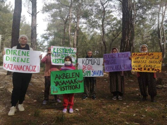 DOHADERN; Ağaç Katliamına Sessiz Kalmayacağız!