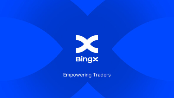 BingX Yardım Kuruluşu, Balina ve Yunusları Koruma (WDC) ile İş Birliği Yapıyor
