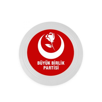 Siyaset Üstü Çalışma