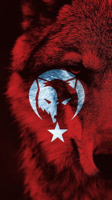 Canı pahasına vatan hainleriyle mücadele eden birine bunu nasıl söyler yaparsınız?