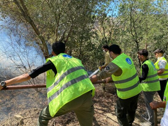 Ülkü Ocakları Yangın Bölgelerinde Ön Saflarda: “Yeşil Vatan İçin Canla Başla Mücadele”
