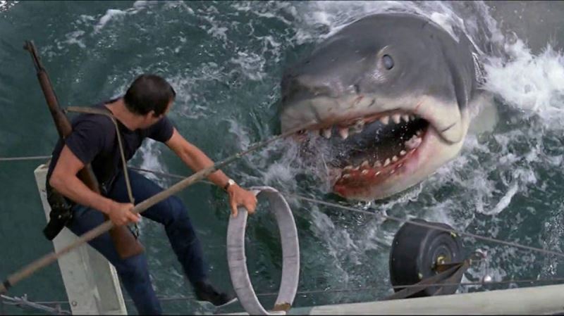Suçüstü: Köpek Balığı Saldırısı (Caught! Sharks Strike Back)