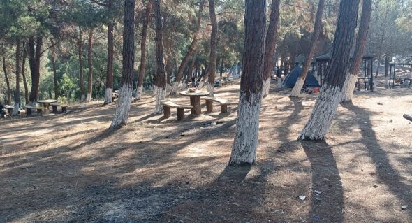 Gemlik Küçükkumla’da Mangal Skandalı!