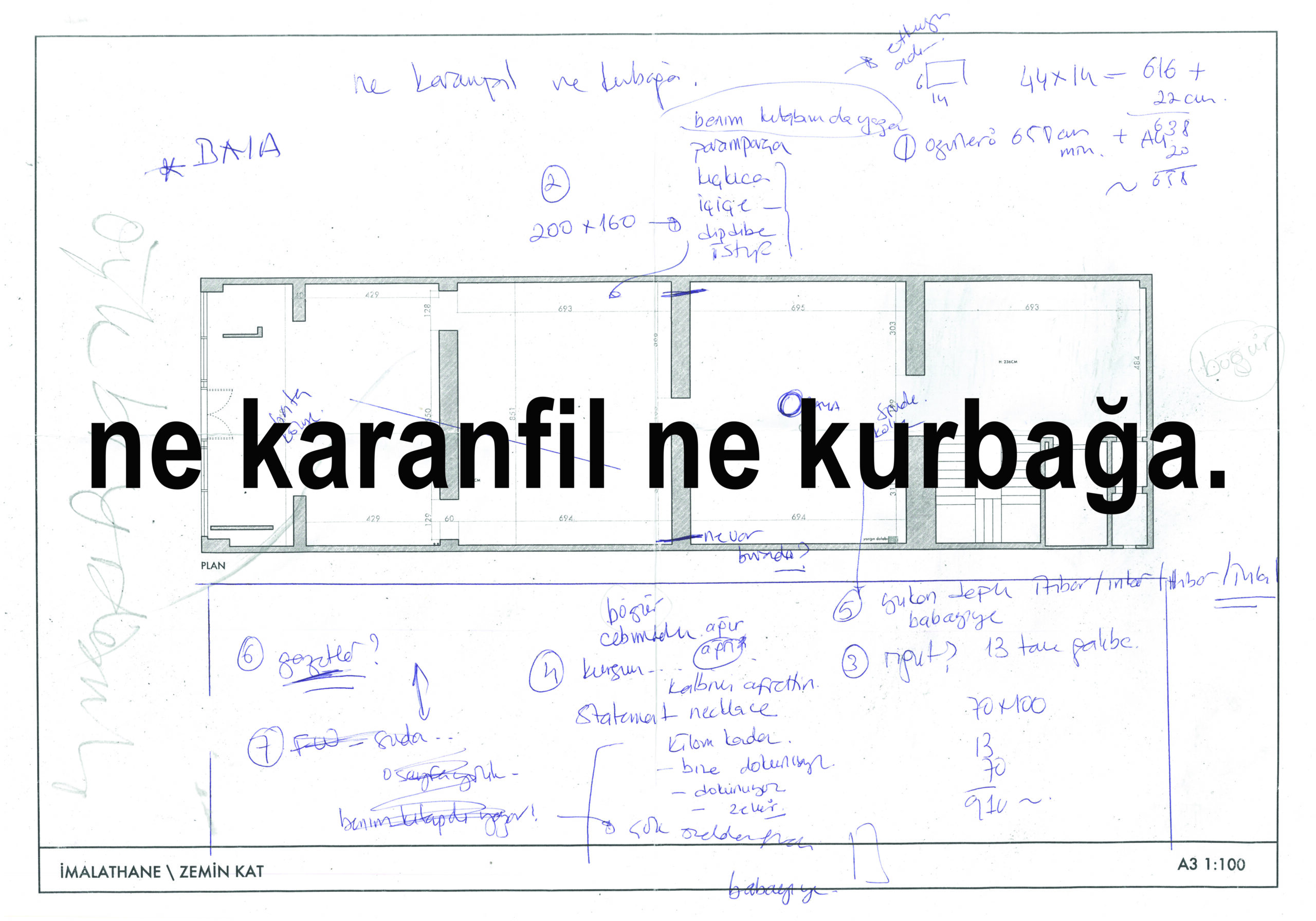 Banu Cennetoğlu’nun “ne karanfil ne kurbağa.” adlı kişisel sergisi 25 Ekim’de İMALAT-HANE’de açılıyor