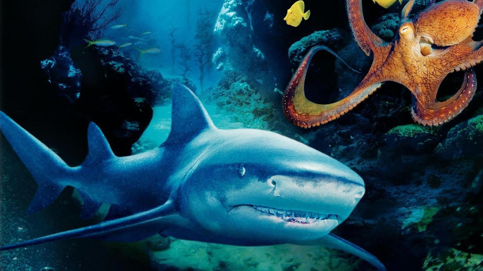 3 Boyutlu Derin Deniz (Deep Sea 3D)