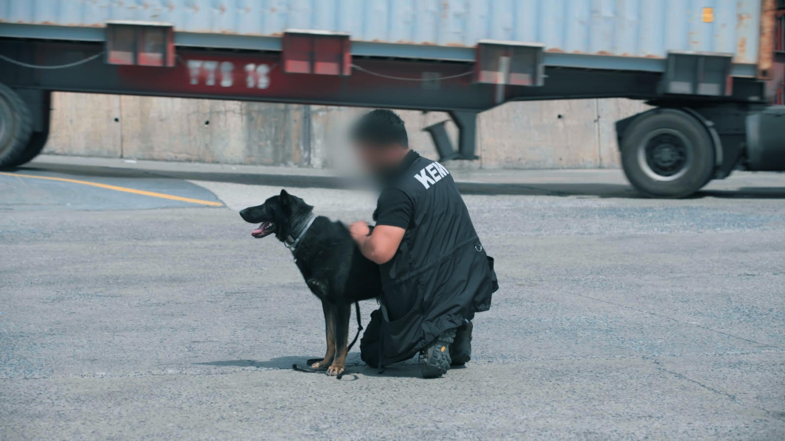 DMAX’in Yerli Yapımı Gümrük Muhafaza Türkiye, 2. Sezonuyla Ekrana Geri Dönüyor!