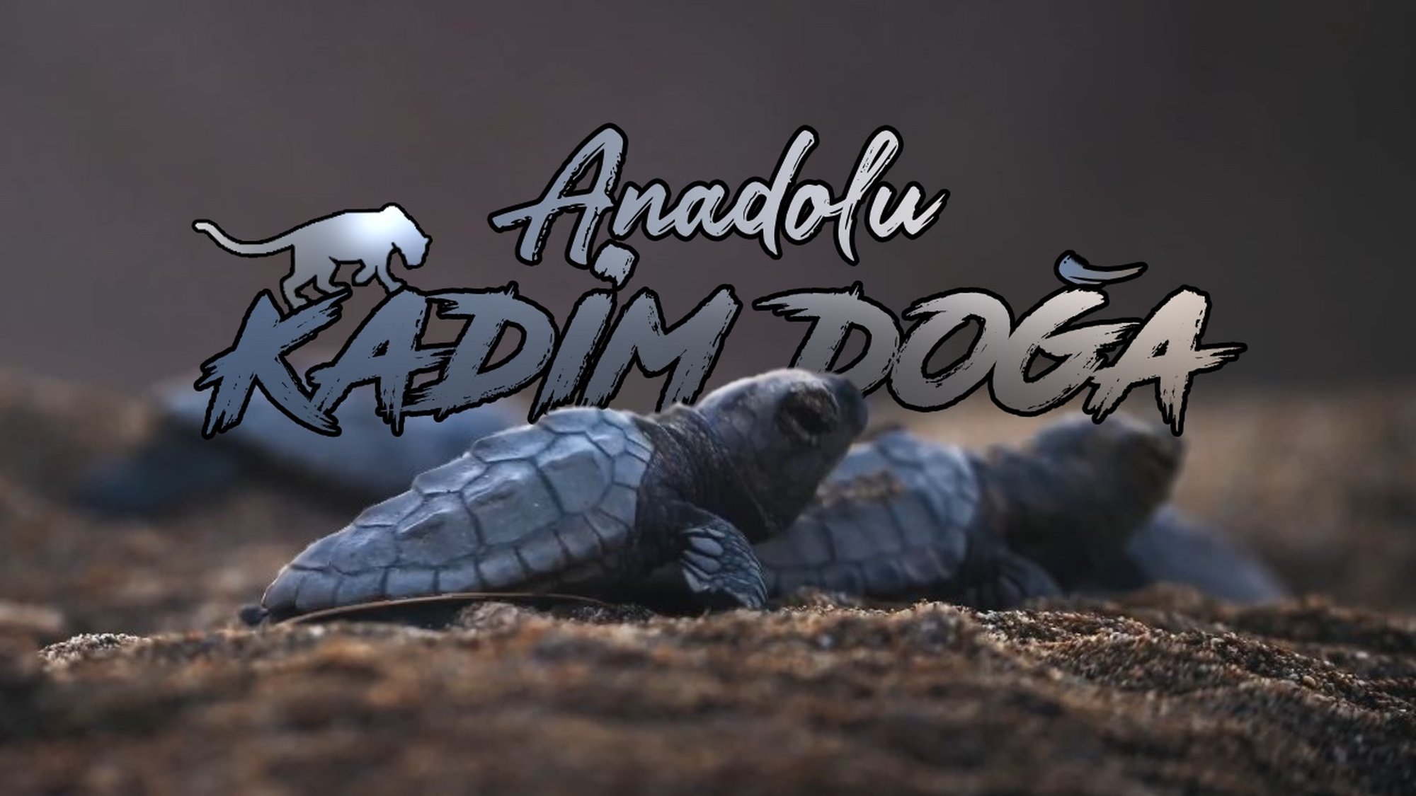 ANADOLU’NUN KADİM DOĞASI