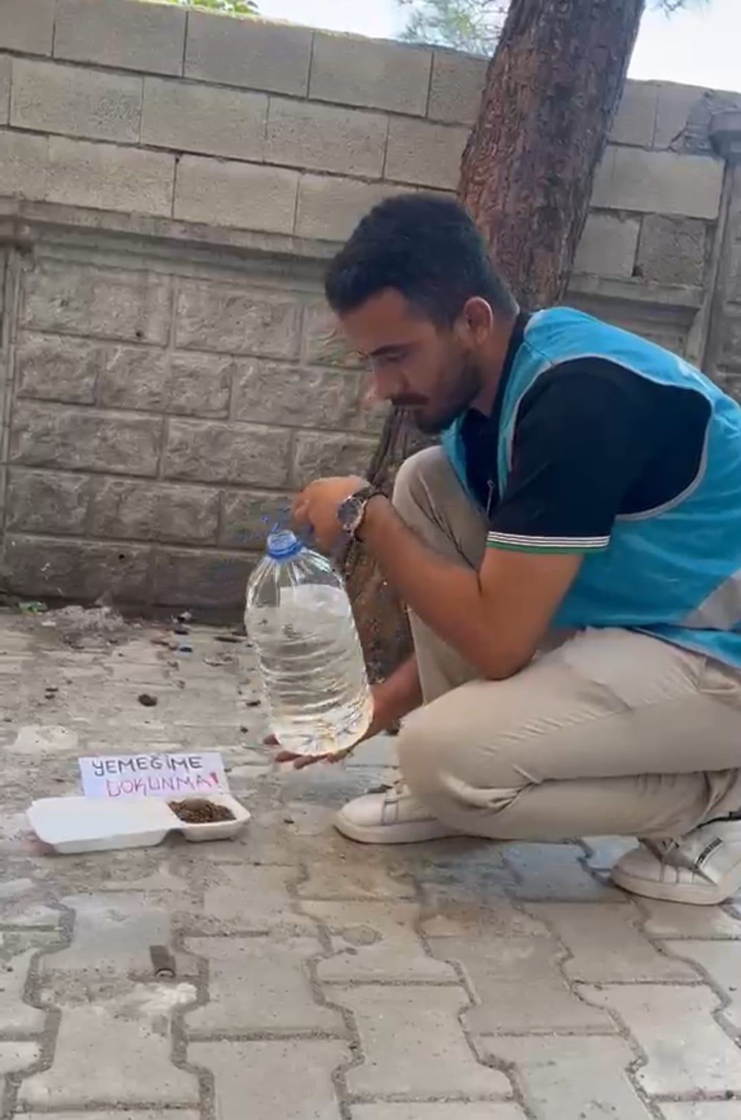 Mesut Çavuş’tan Sokak Hayvanları İçin Örnek Olacak Anlamlı Çağrı: “Bir Kap Su, Bir Kap Mama Bir Can Kurtarabilir”