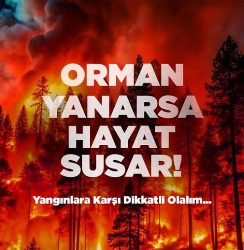 ORMAN YANARSA, GELECEĞİMİZ KARARIR