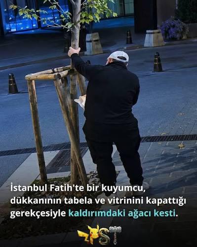 Tekin Seyrekoğlu’ndan Ağaç İddialarına Sert Yanıt: “Hakkımdaki İddialar Gerçek Dışıdır”