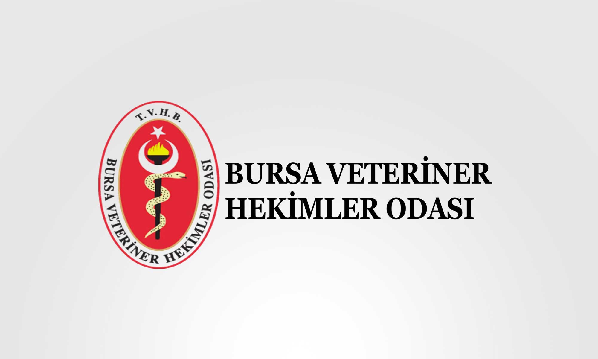 “İki farklı grup değil, tek ekip olarak çalışacağız”