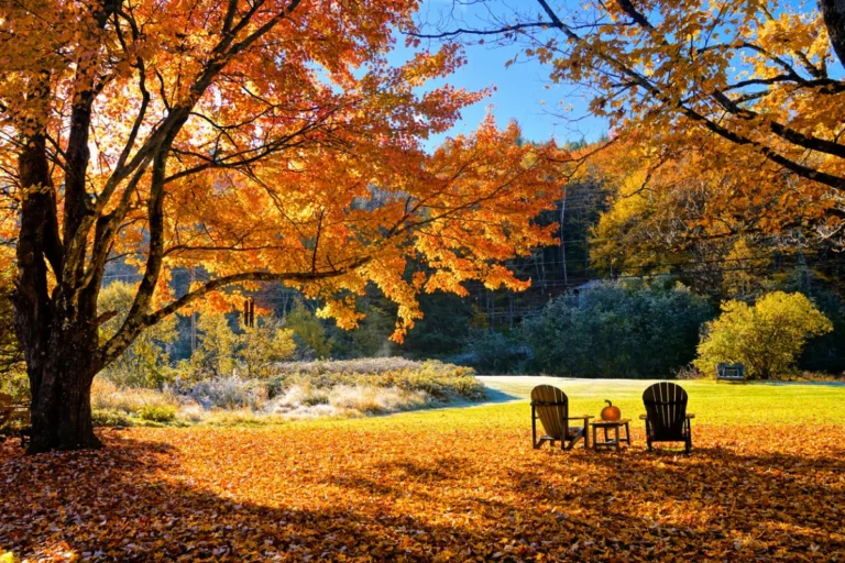 SONBAHAR